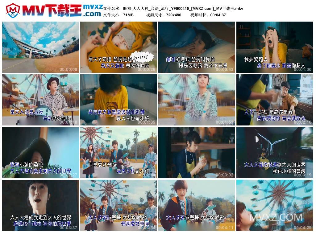 旺福-大人大种_台语_流行_YF800415